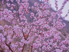 -山西通天峡景区
