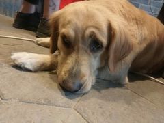 -浔岚云舍mist静谧观景美宿(丽江古城店)