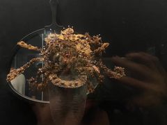 -贵州省博物馆(新馆)