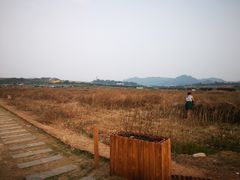 -光明小镇欢乐田园