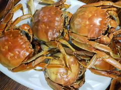 -巢湖名吃·徽府农家菜(半汤店)