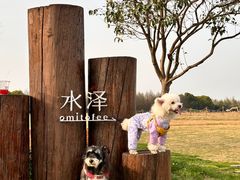 -omitofee咖啡(水泽店)