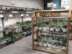 -鹿岛会员店 (龙湖三千集天街店)