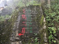 -蝶舞清江·恩施云顶景区(黄鹤峰林)