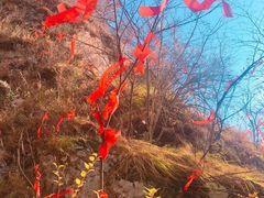 -吉林拉法山