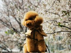 -龙美术馆(西岸馆)
