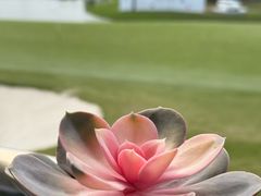 -颖奕安亭高尔夫俱乐部
