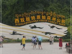 -西双版纳原始森林公园