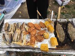 -漕湖湿地公园