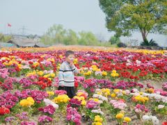 -周浦花海-停车场