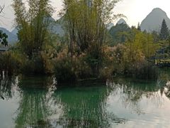 -靖西鹅泉风景区
