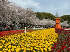 -苏州上方山国家森林公园
