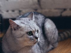 -不舍昼夜咖啡馆