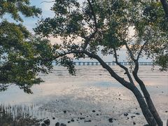 -宝安西湾红树林湿地公园