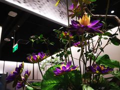 -新辣道鱼火锅(航天万源店)