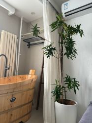 -薇薇安花系SPA