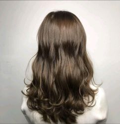 -藤野造型