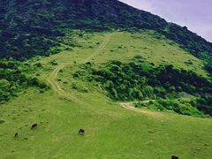 -大姆山草场
