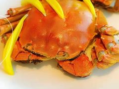 清蒸大闸蟹-蟹榭·本帮江浙菜·蟹宴(五角场合生汇商场店)