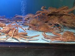 -阿伟海鲜楼·福建菜(延寿店)
