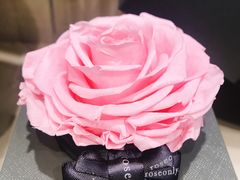 -ROSEONLY诺誓(沈阳万象城店)