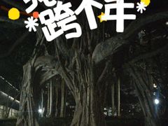 -荔香公园