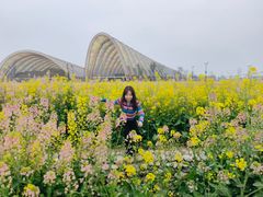 -中国天府农业博览园