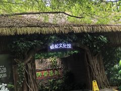 -呀诺达热带雨林