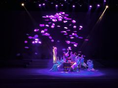 -南风大剧院莎梦二人转剧场