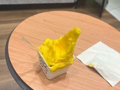 -野人先生现做冰淇淋(北京环宇荟店)