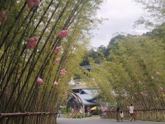 -婺源月亮湾