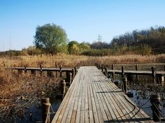 -马家湾湿地公园