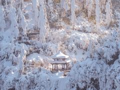 -瓦屋山景区