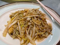 -丁老爷子苏香圆