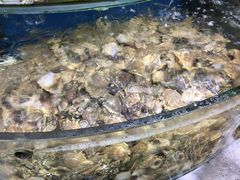 -渔中舟海鲜大排档(普陀沈家门店)