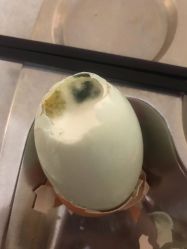 -皇家月府月子中心(沈阳店)