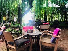 景观位-Fern Forest Cafe