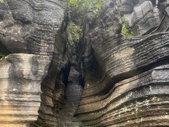 -梭布垭石林景区