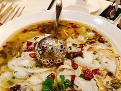 酸菜鲈鱼-新兴·金羊座·粤菜点心(乐峰店)