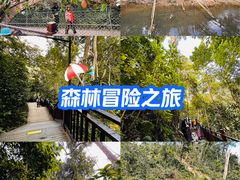 -西双版纳原始森林公园
