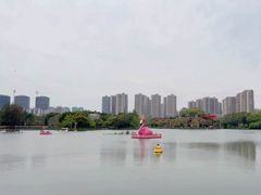 -青枫公园