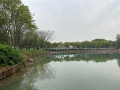 -金银湖国家城市湿地公园