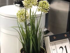 -缶乐FOLLOW咖啡