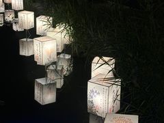 -苏城小院·园林精致苏州菜(斜塘老街店)