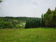 -白鹭湾湿地公园