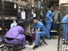 -北京派仕佳德动物医院·超导核磁·CT·神经科·骨科·内外科·急重症管理中心