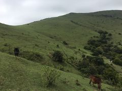-大姆山草场