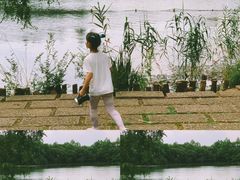 -杭州观成实验学校