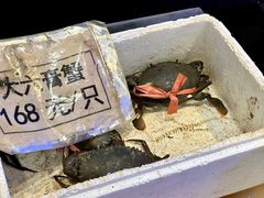 -莲花公园煎蟹(总店)