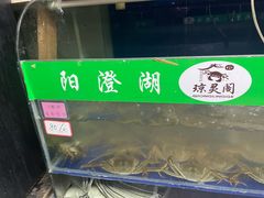 -阳澄湖大闸蟹·琼灵阁牌品牌连锁(吴中总店)